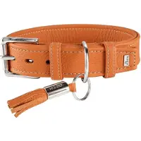 Hunter Pet Collier pour Chien de Chasse (Chien)