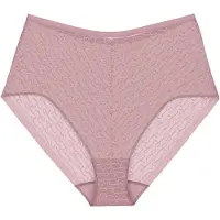 Triumph Slip rose