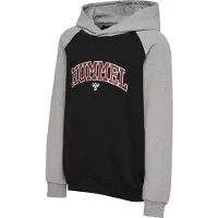 Hummel Essen Hoodie Noir,Gris 152 cm Garçon