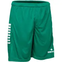 Derbystar short de handball Pantalon Primo v24