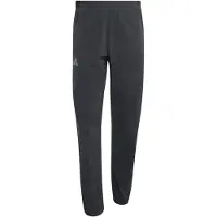 Adidas Pantalon de sport 'Terrex Xperior CLIMA365' gris clair / noir
