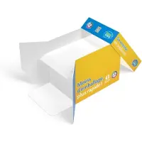 Data Copy Papier à copier Everyday Printing DIN A4 80 g/qm 2.500 feuilles Maxi-Box (A4, 2500 feuilles, 80 g/m²)