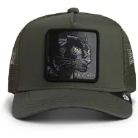Goorin Bros Panther Cap - Vert, Vert