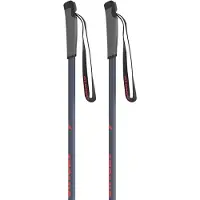 Atomic Pro Junior Poles Argenté 80 cm Enfants
