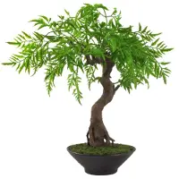 OEM Petits bonsaïs artificiels avec des feuilles.