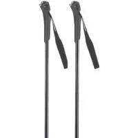 Rossignol Ft-501 Junior Poles Argenté 130 cm Enfants