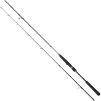 Daiwa Saltist Seabass Spinning Rod Argenté 3.05 m / 15-56 g