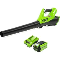 Greenworks Souffleur de feuilles électrique G40AB avec batterie 40 V 2 Ah 2400807UA