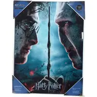 SD Toys Harry Potter And Voldemort Glass Poster Clair