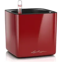 Lechuza Cube Glossy 14 - 14x14x14 Cm - Kit Complet, Rouge Scarlet Ultra Brillant