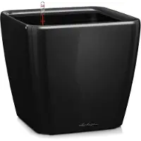 Lechuza Pot Quadro Premium Ls 21 - Kit Complet, Noir Brillant 21 Cm