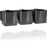 Lechuza 3 pcs Jardinières Green Wall Home Kit Anthracite brillant