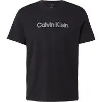 Calvin Klein T-Shirt '30S' gris / gris argenté / noir