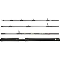 Penn Regiment Iv Boat Travel Spinning Rod Argenté 2.28 m / 20-30 Lbs