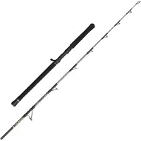 Penn Regiment Iv Spinning Rod Argenté 1.84 m / 30-50 Lbs