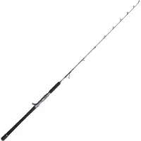 Penn Battalion Solid Boat Spiral Jig Baitcasting Rod Argenté 1.75 m / 300 g