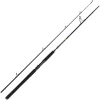 Penn Wrath Ii Spinning Rod Argenté 2.13 m / 10-30 g