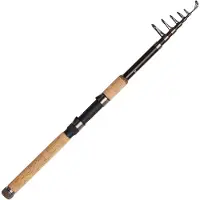 Dam Backbone Ii Tele 80 Carpfishing Rod Doré 3.00 m / 30-80 g
