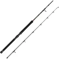 Penn Regiment Iv Boat Spinning Rod Argenté 2.10 m / 30-50 Lbs