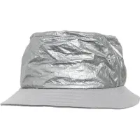 Flexfit Chapeaux argent