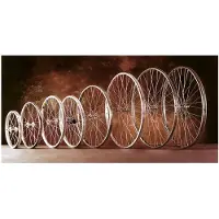 Gurpil 350 X 32 14´´ Rear Wheel Argenté 9 x 110 mm