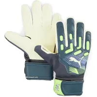 Puma Future Match Nc Goalkeeper Gloves Gris 11