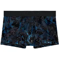 Hom Boxer court