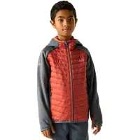 Regatta Andreson Jacket Orange 10-11 Years Enfants