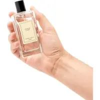 SuperMerchantEU Cerería Molla Diffuseur de parfum - 1 pièce (1 pcs)