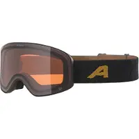 Alpina Masque de ski