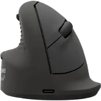 Fellowes 100143584 Wireless Mouse Noir