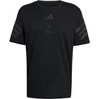 Adidas T-Shirt fonctionnel 'Mercedes-AMG Petronas Formula 1 Team' noir
