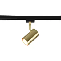 TRIO Spot DUOLINE gold wall light for busbar 78240108