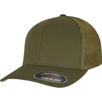 Flexfit Casquette gris / vert