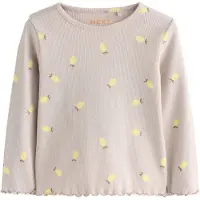 Next T-Shirt mastic / chocolat / jaune citron / olive