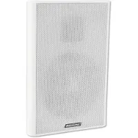 Omnitronic Haut-parleur mural Public Adress FPS-5 10 (1 pièce), Enceinte encastrable, Blanc