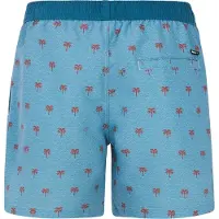 Protest Parco Swimming Shorts Bleu S Homme