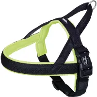 Nobby Harnais Norvégien Pour Chien Nobby Pet Mesh Preno