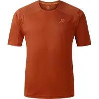 Regatta Dare 2B - Maillot « Trackstand Ace » pour homme RG12803 (3XL) (épices arabes)