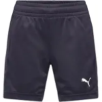 Puma Short TAD ESS Poly Shorts pour Homme