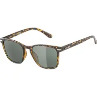 Alpina Sunglasses Yefe Havana Gloss/Black