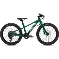 Specialized Riprock 20´´ Acolyte 2026 Mtb Bike Vert Garçon