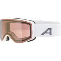 Alpina Masque de ski
