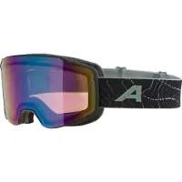 Alpina Masque de ski