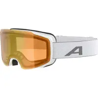 Alpina Masque de ski