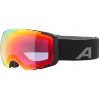 Alpina Masque de ski