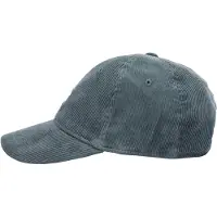 Carhartt WIP Casquette 'Harlem' saphir / blanc