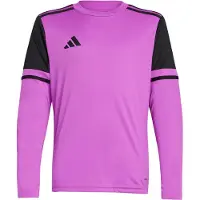 Adidas Squadra 25 Long Sleeve T-shirt Violet,Rose 13-14 Years Fille
