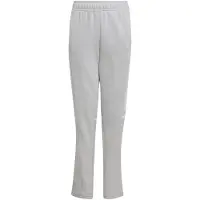 Adidas Squadra 25 Sweat Pants Gris 7-8 Years Enfants