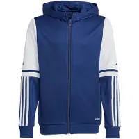 Adidas Squadra 25 Full Zip Sweatshirt Bleu 15-16 Years Enfants